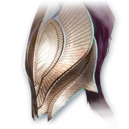 Wisdom Helm