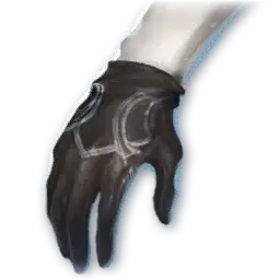 Ansas Gloves