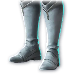 Teegant Boots