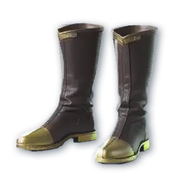 Pnyn Boots
