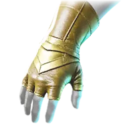 Pnyn Gloves