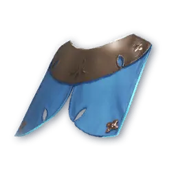 Apex Cloak