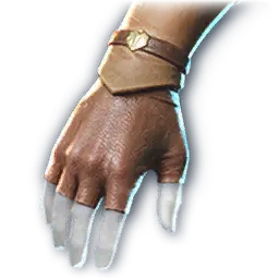 Aulla Gloves