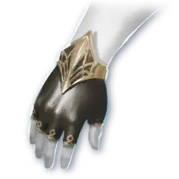 Sarvakha Gloves