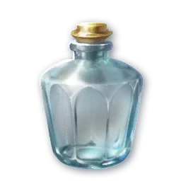 Professional Glass Bottle (Bound)
