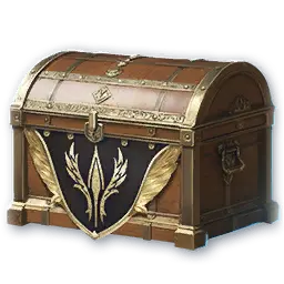 Skin Chest (1 time) (Bound)