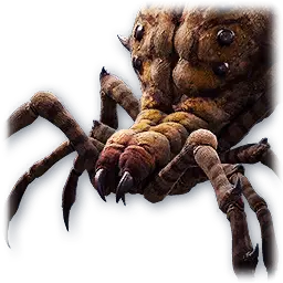Soul: Withered Branch Spider (Bound)